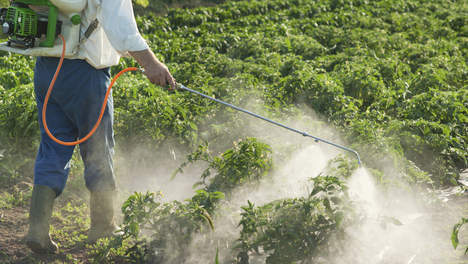 Pesticiden.jpg#asset:35413:url