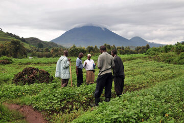 Organic Agriculture Uganda