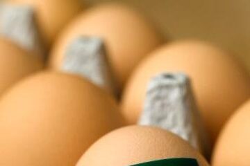 Organic Eggs11