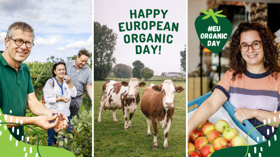 European Organic Day