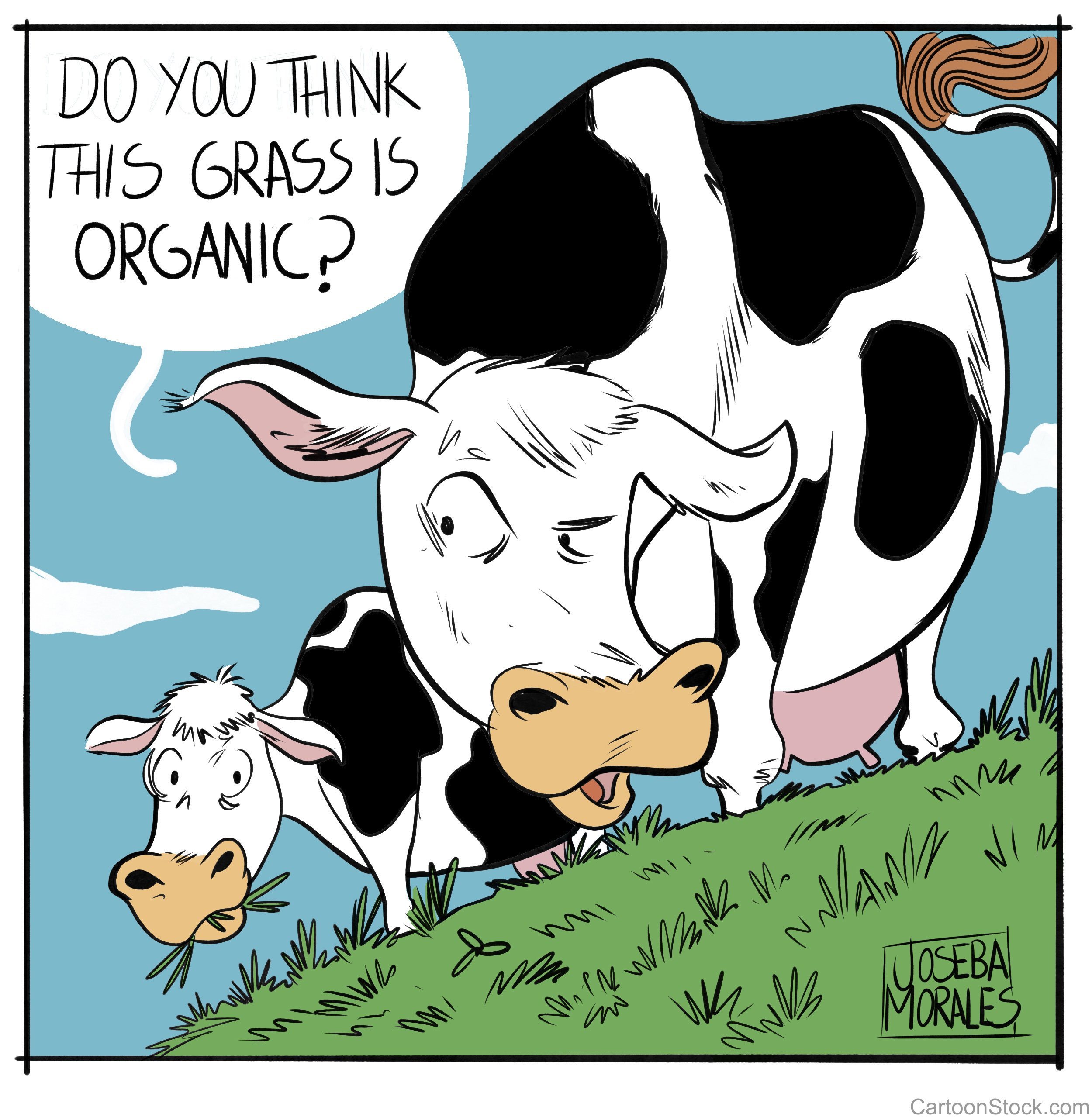 20180906 Cartoon Grass Organic Verkleind